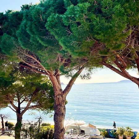 Appartement Les Pieds Dans L'Eau A Cavaliere Le Lavandou Eksteriør billede