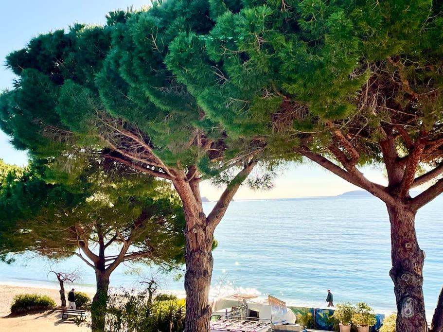 Appartement Les Pieds Dans L'Eau A Cavaliere Le Lavandou Eksteriør billede