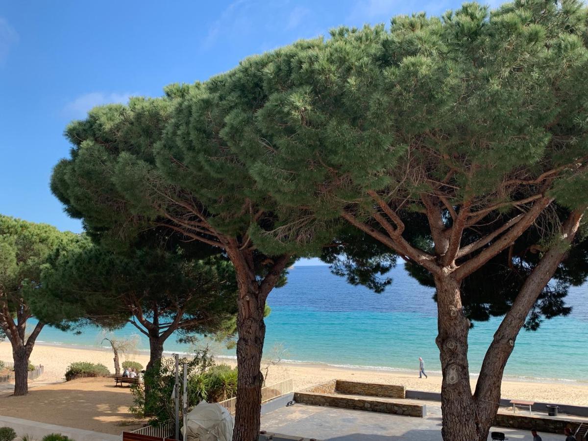 Appartement Les Pieds Dans L'Eau A Cavaliere Le Lavandou Eksteriør billede